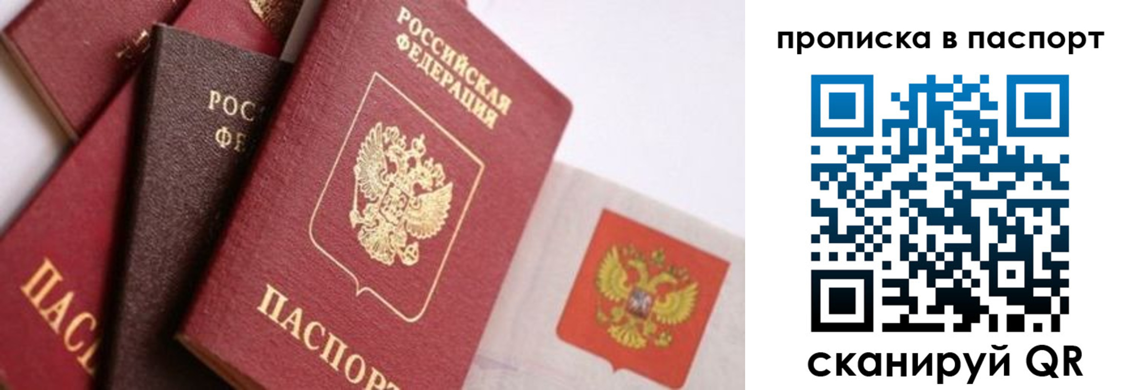 прописка штамп в Новом Осколе